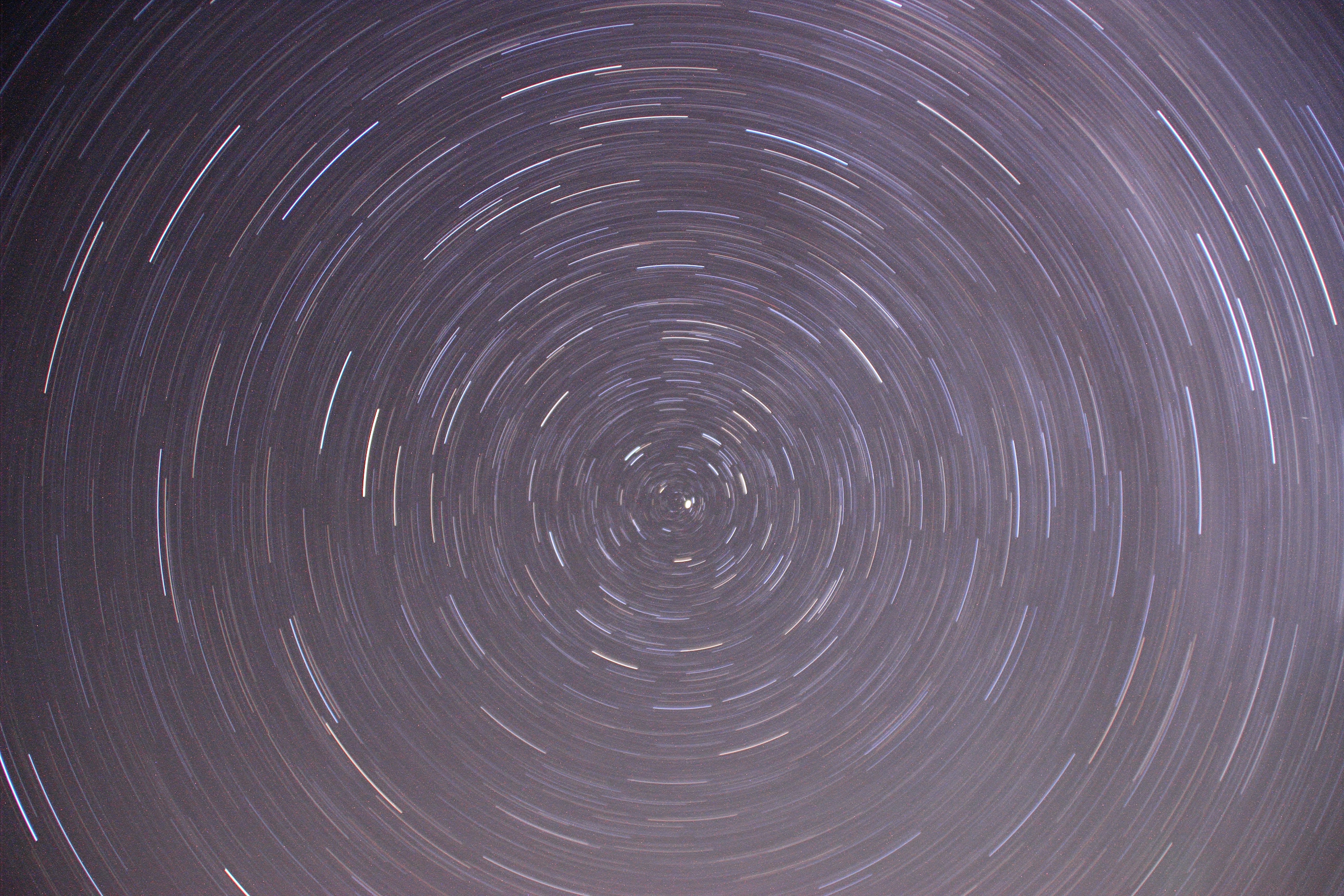 Photo by silverarrow