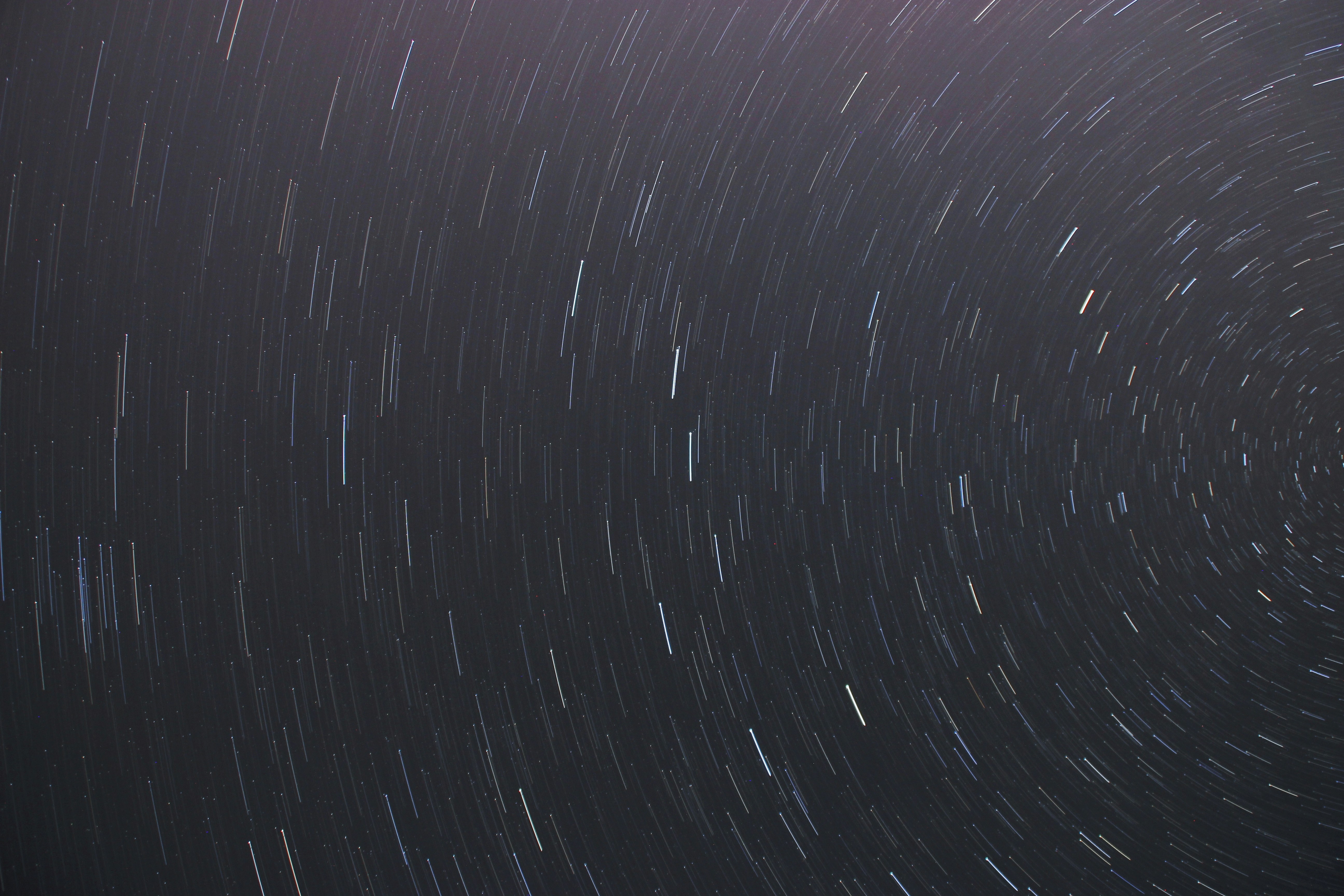 Photo by silverarrow