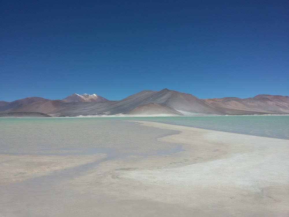 seashore with mountain during daytime