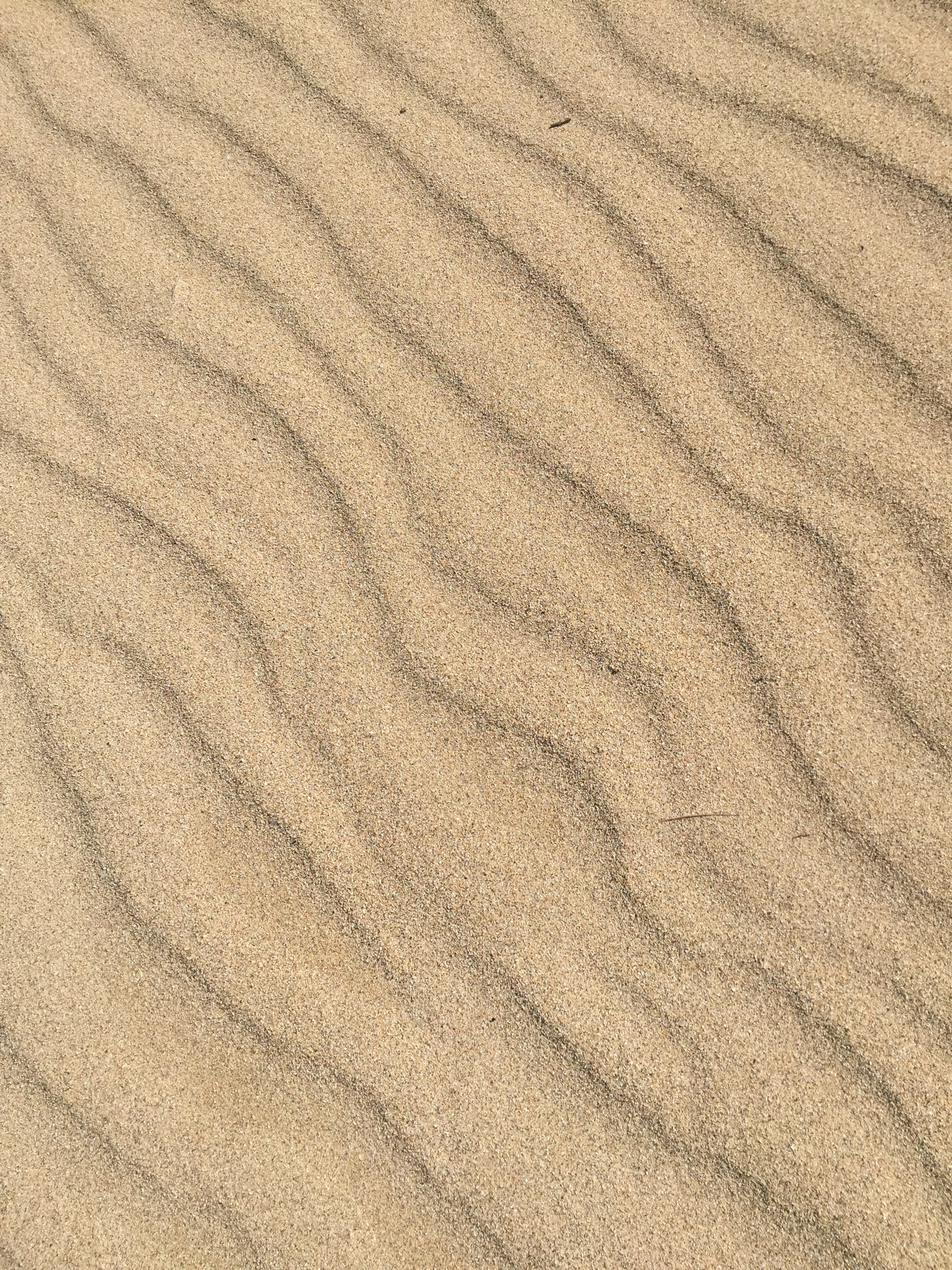 a bird is standing in the sand on the beach