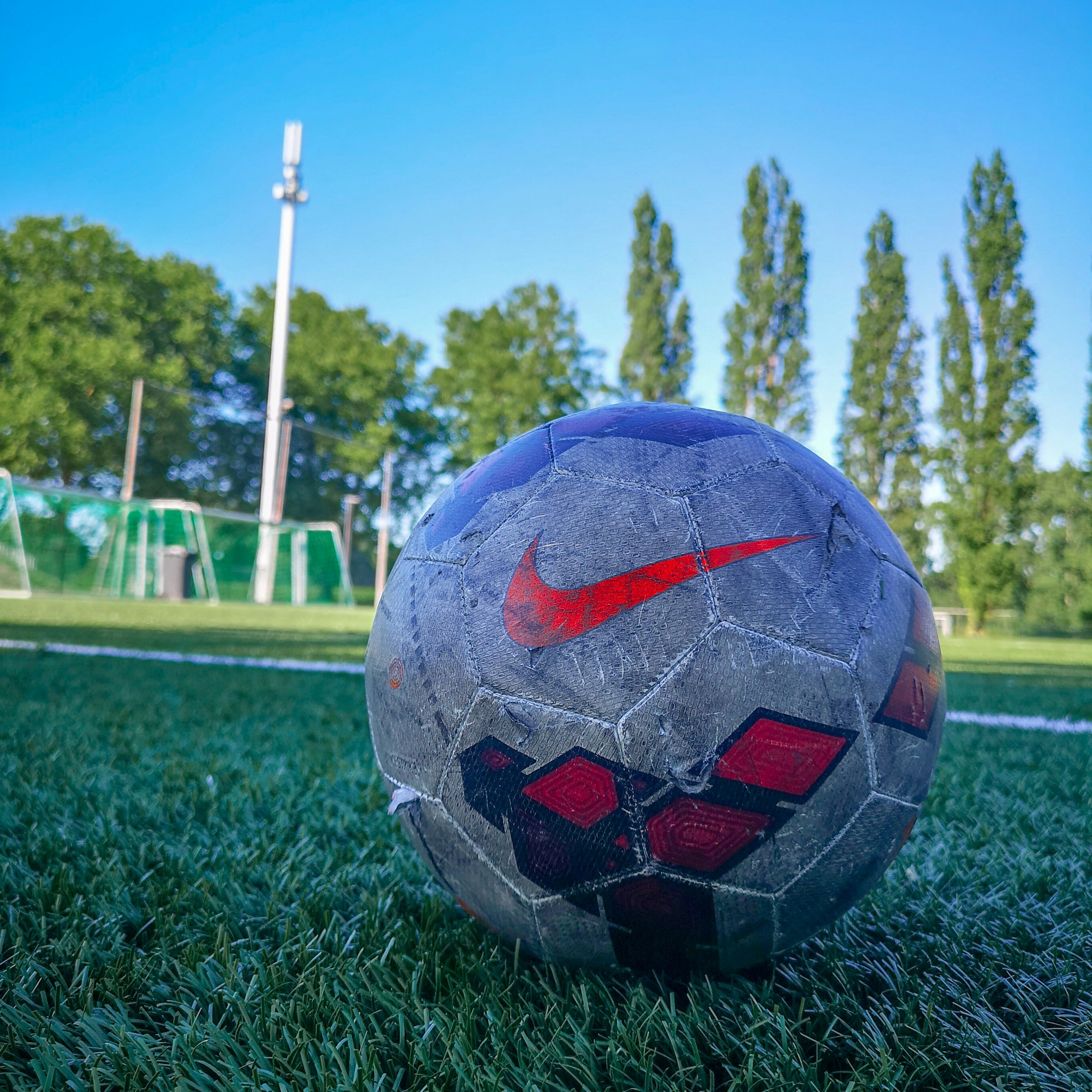 Balón de fútbol profesional