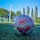 Close-up of a new soccer ball and sports gear laid out on grass