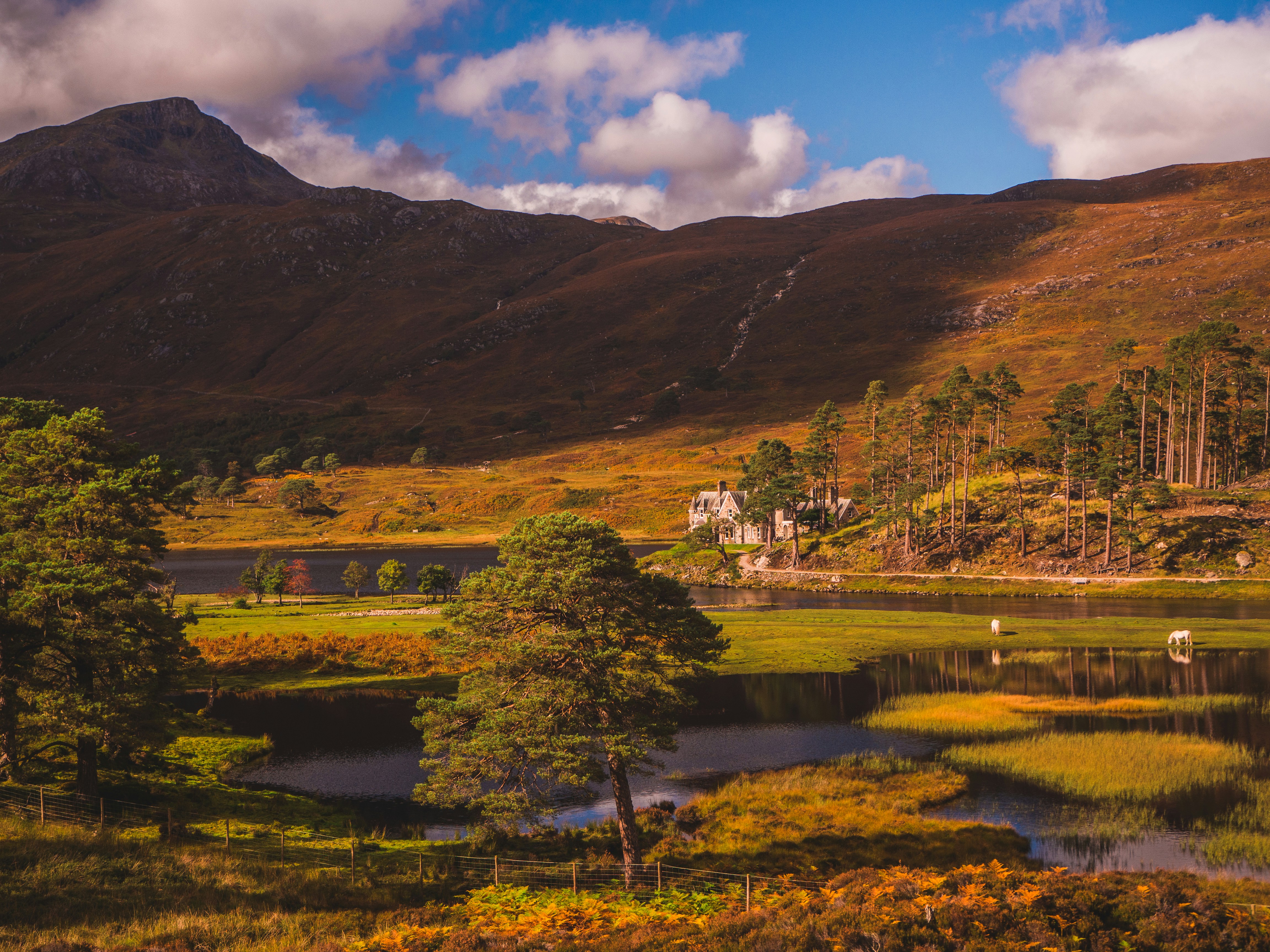 Photo by kieranosborn