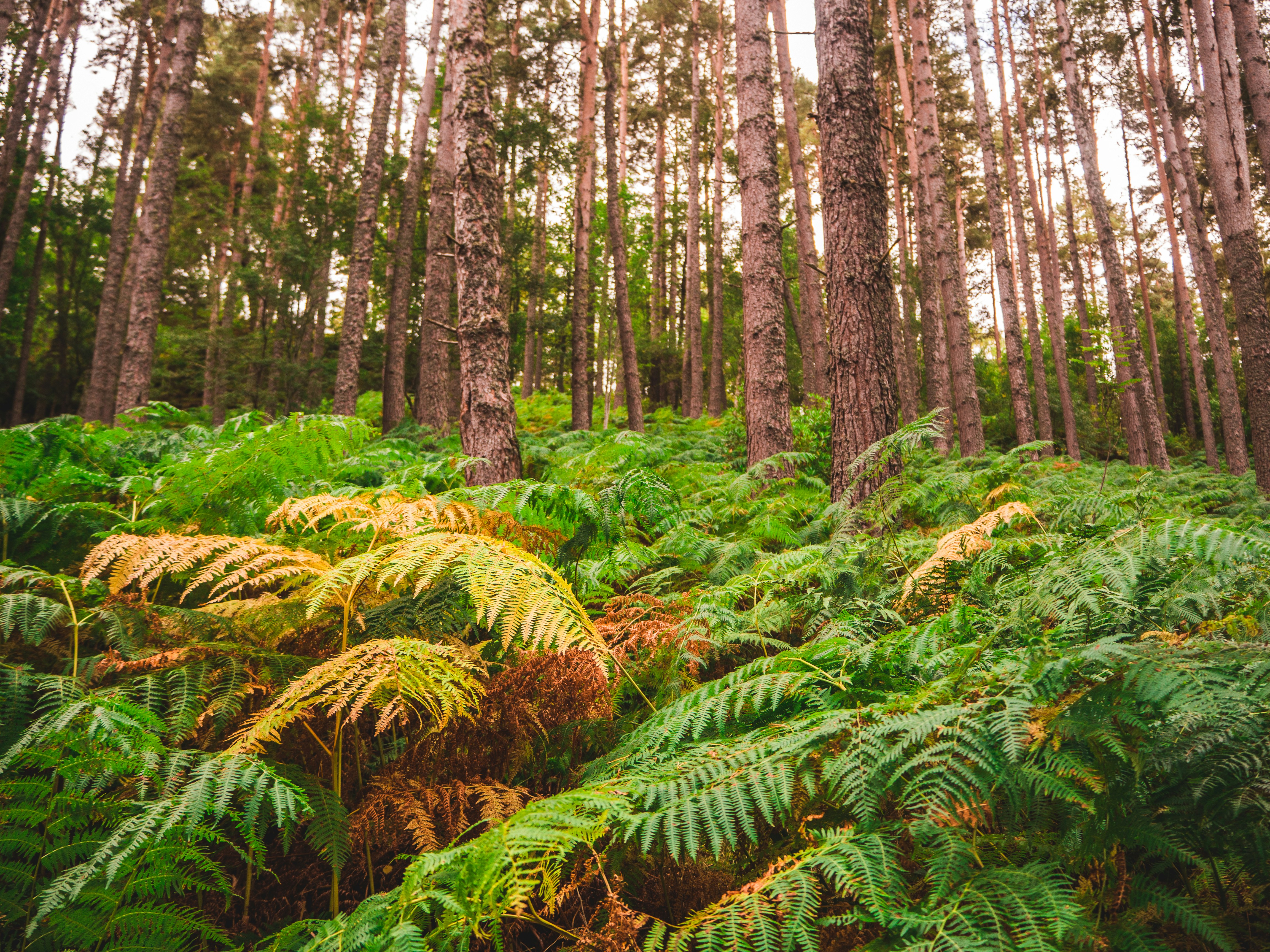 Photo by kieranosborn