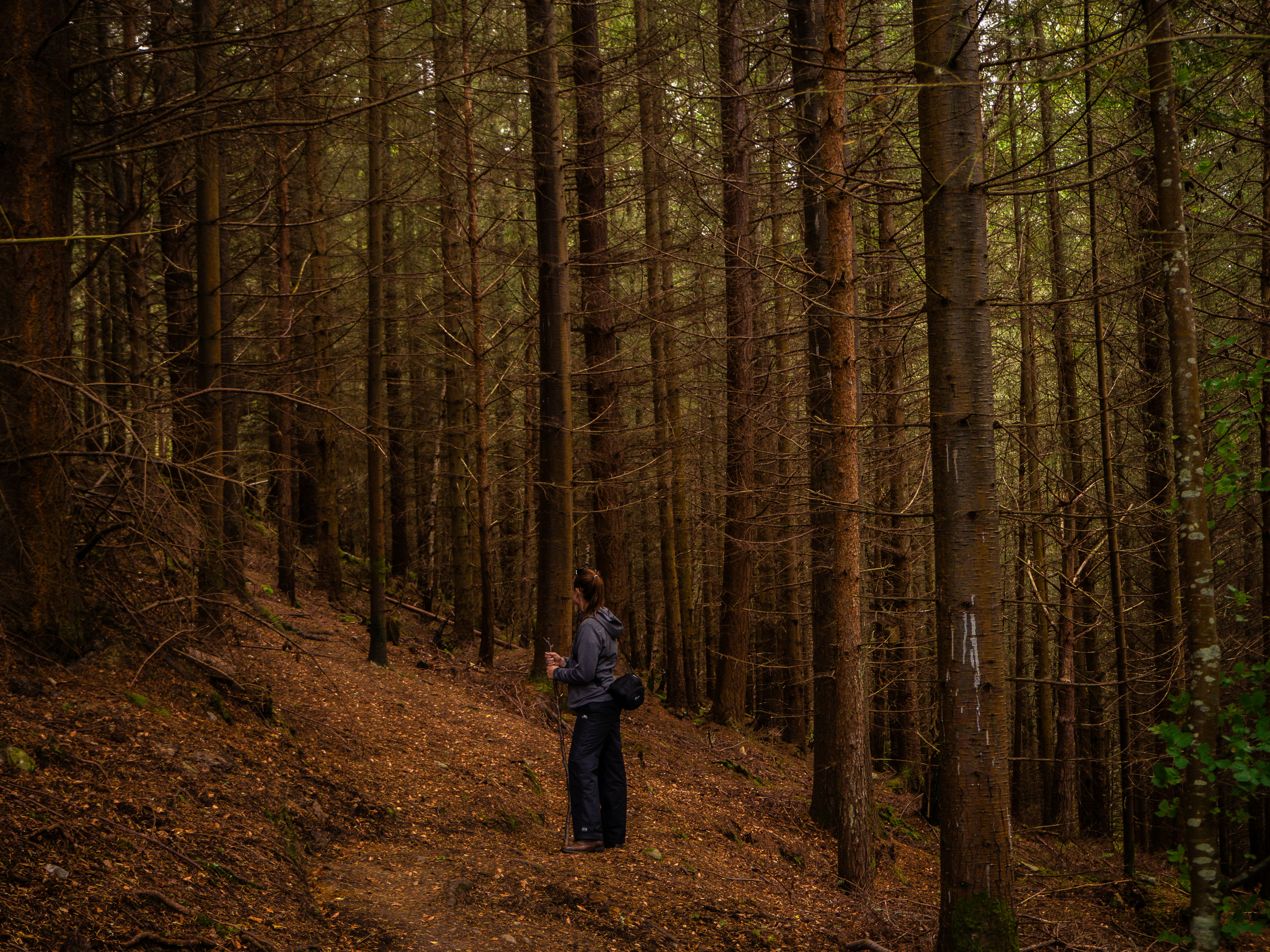 Photo by kieranosborn