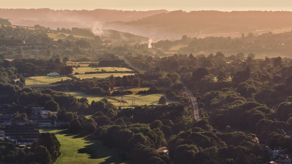 aerial view of trees and grassland during sunrise