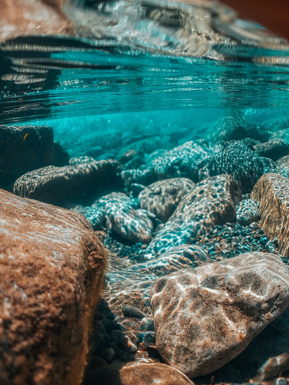 underwater photography of brown stones