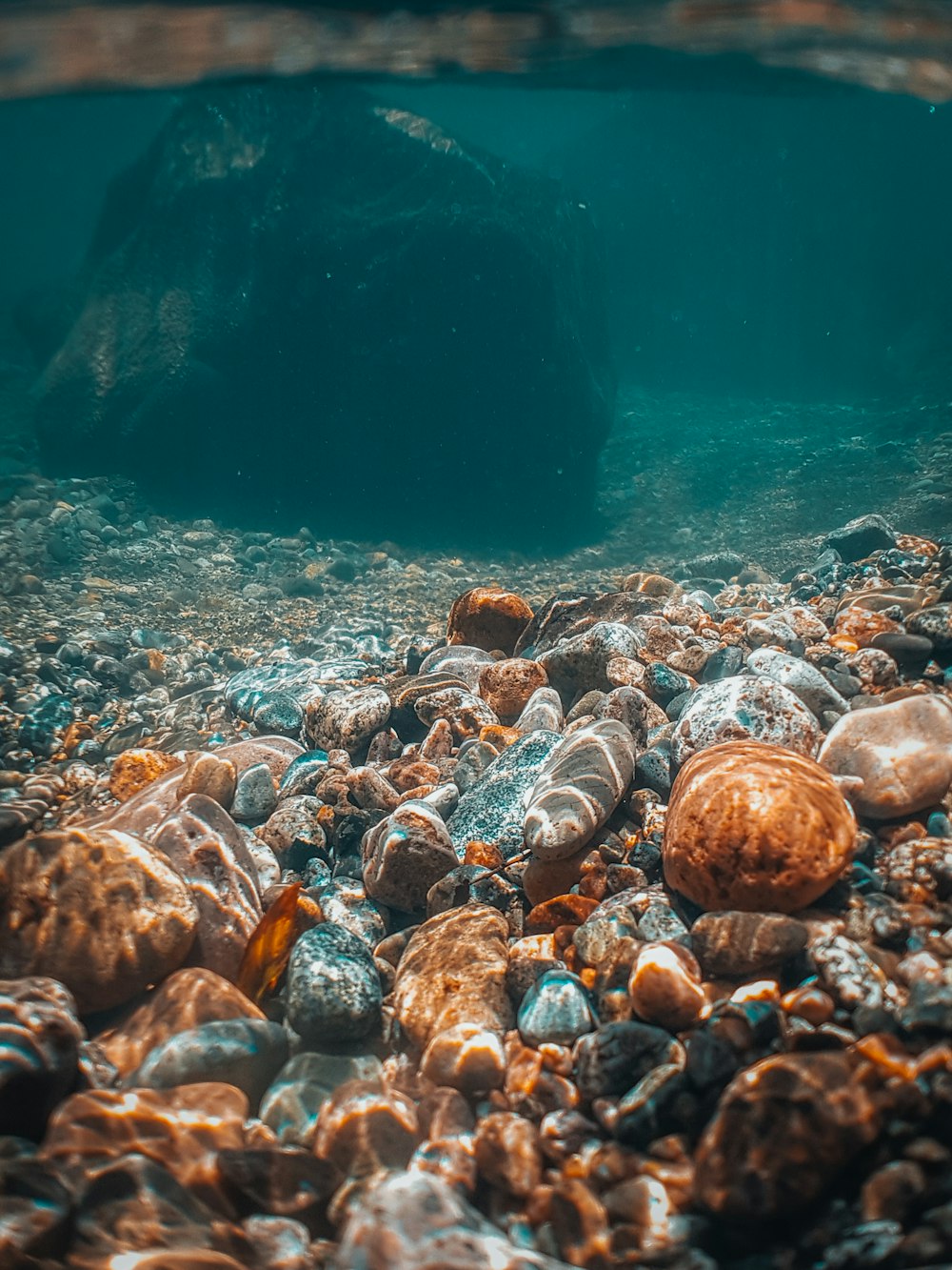 brown, black, and grey underwater rocks