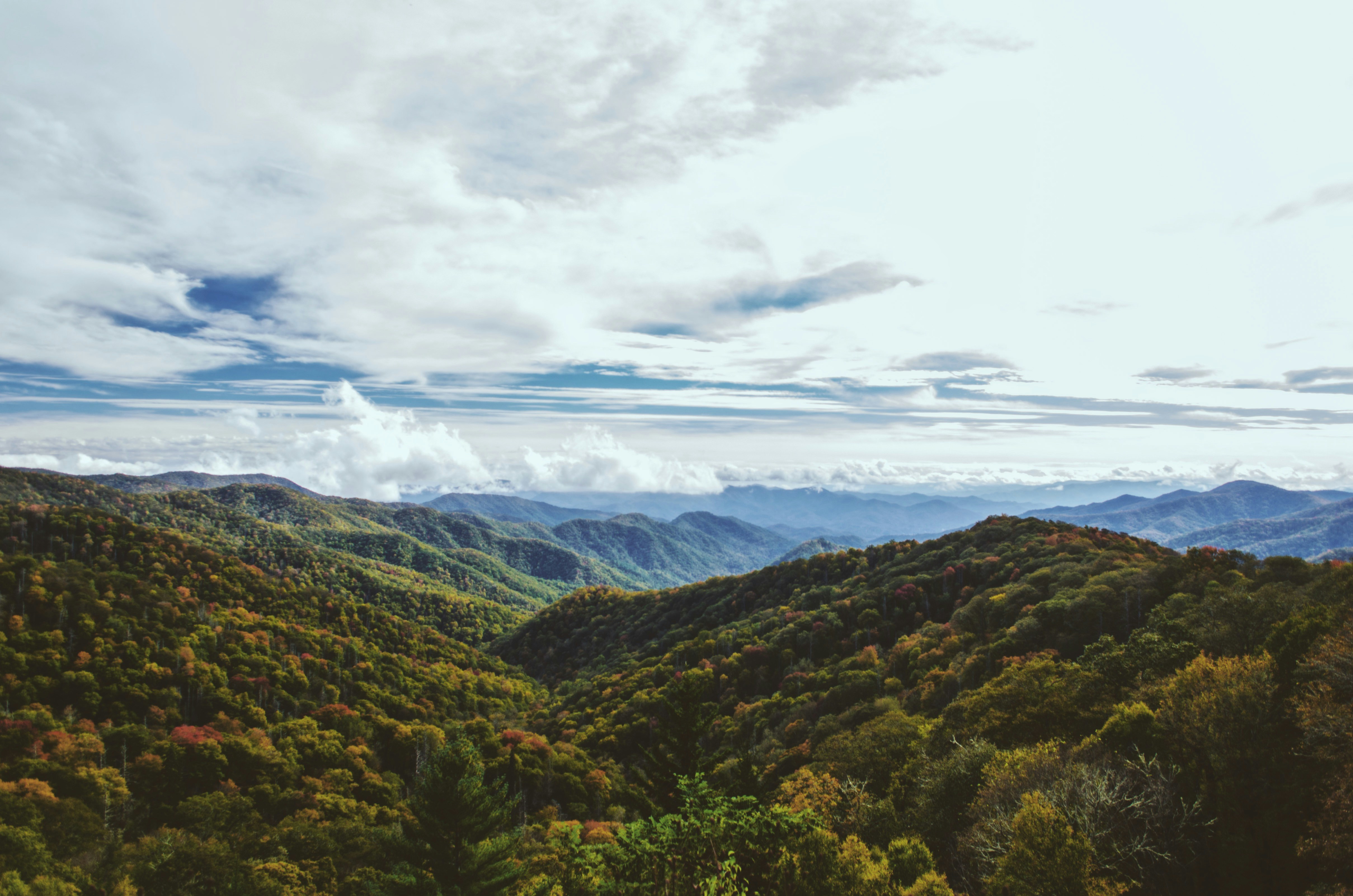 Photo by aravindpasupathi