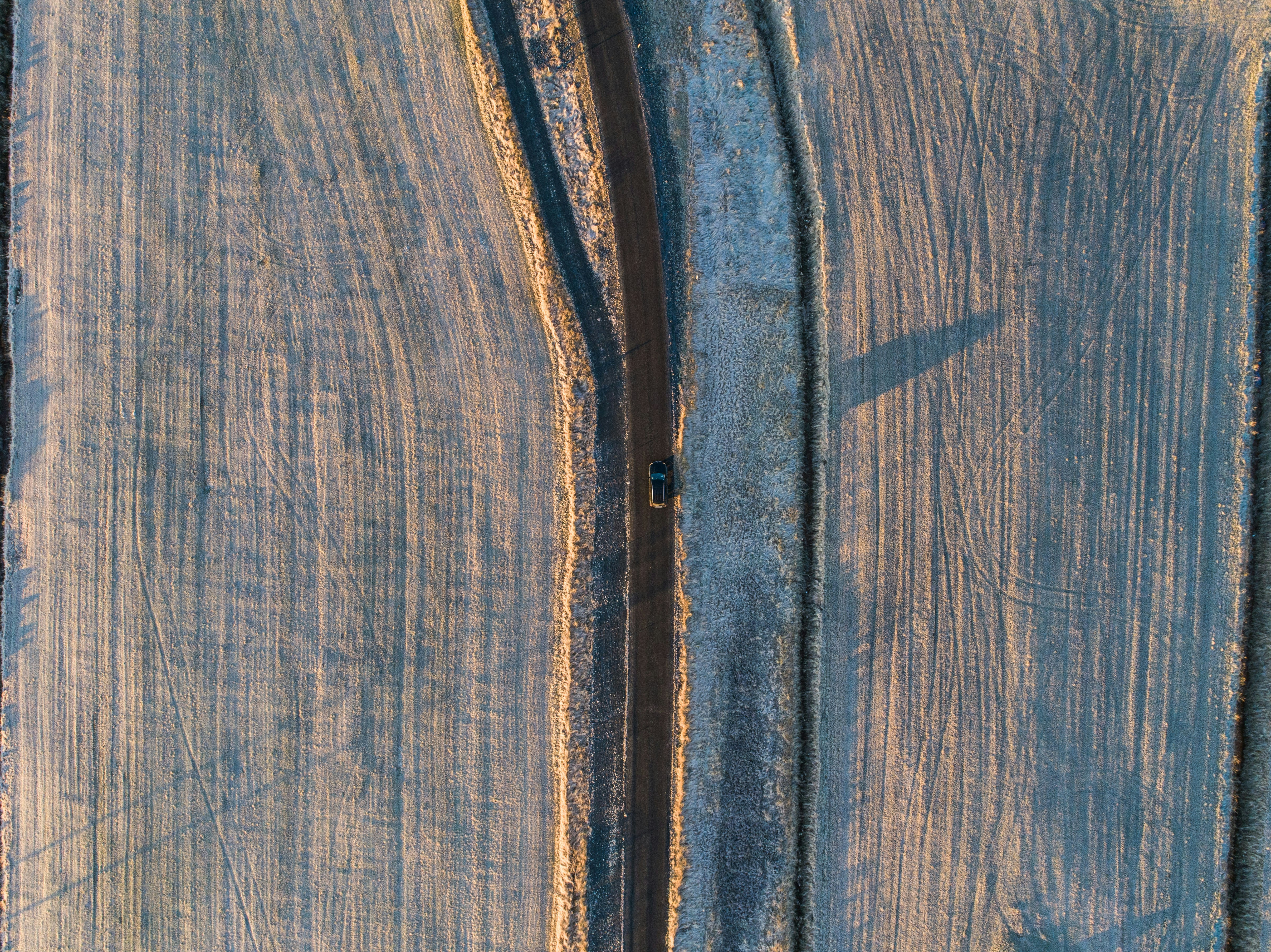 Photo by gaborwraight