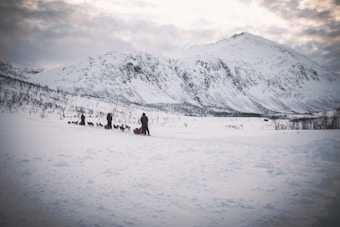 A snowy landscape featuring a group of people engaged in dog sledding. They traverse a vast, open area with snow-covered mountains in the background. The sky is overcast with clouds, adding a dramatic touch to the scene.