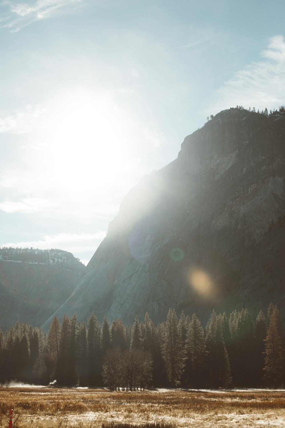 trees near mountain at daytime