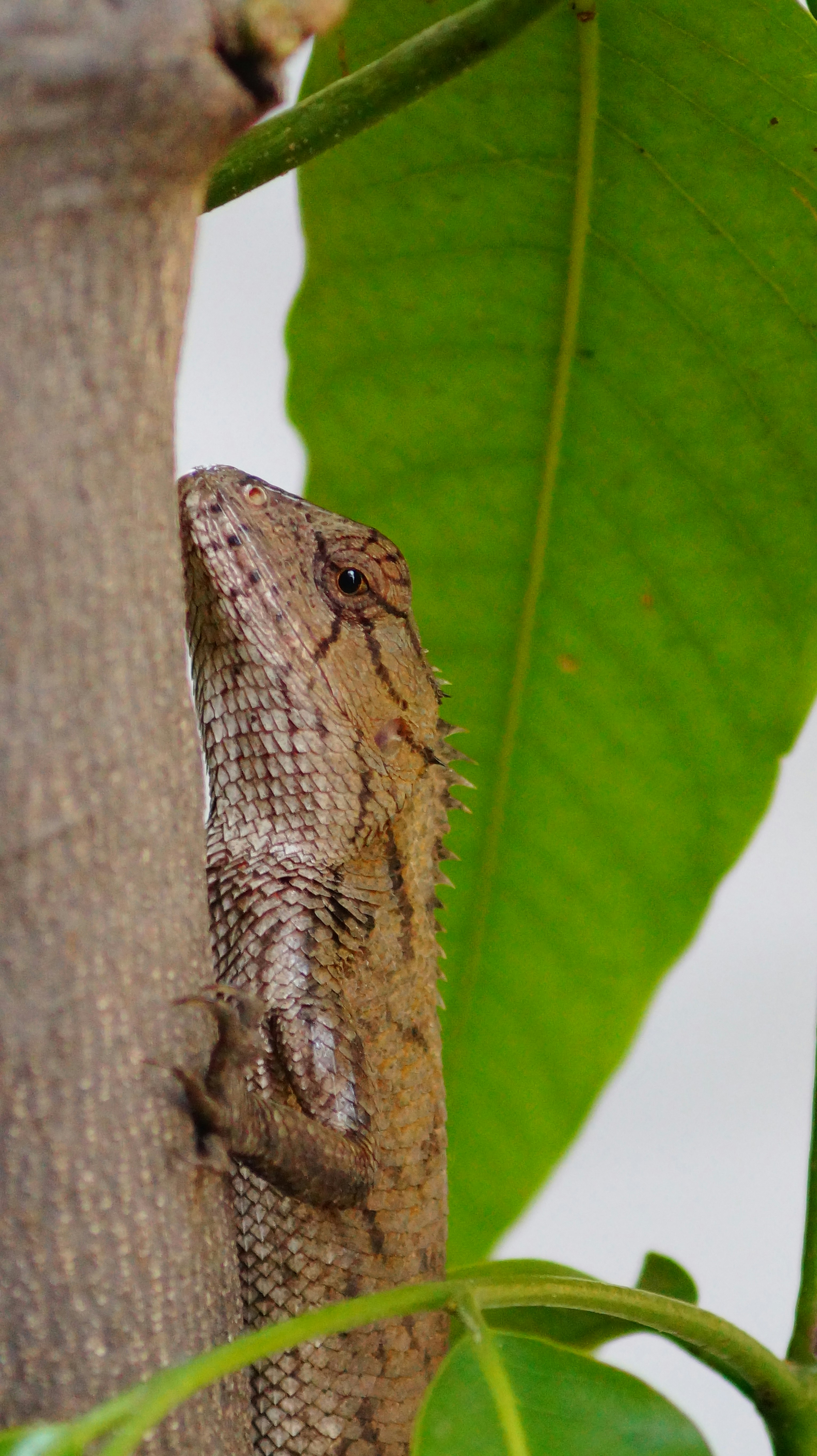 Photo by arjun_kapoor