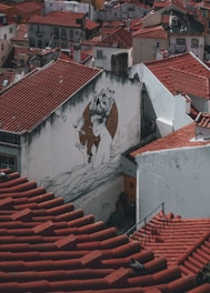 A mural on the side of a building depicts an artistic image of a woman adorned with flowers in her hair, interacting with small birds. The surrounding area features densely packed buildings with red-tiled roofs, creating an urban landscape.