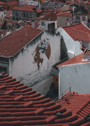 A mural on the side of a building depicts an artistic image of a woman adorned with flowers in her hair, interacting with small birds. The surrounding area features densely packed buildings with red-tiled roofs, creating an urban landscape.