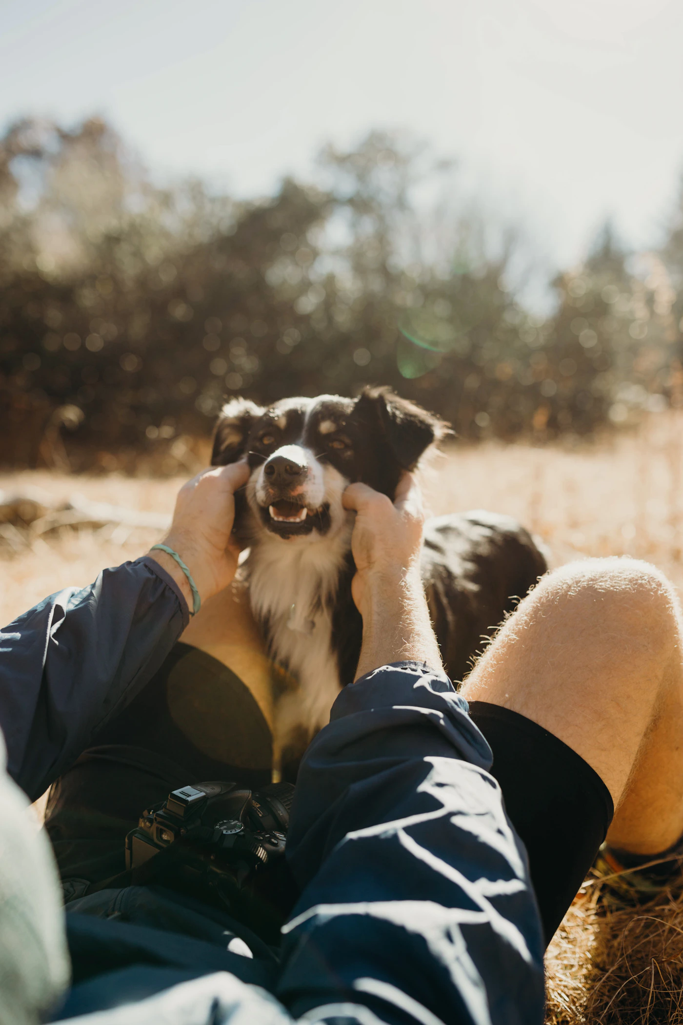 Person sharing a happy moment with a dog