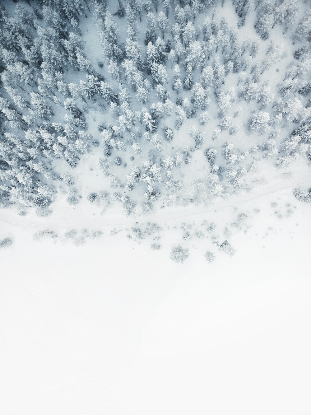 Luftaufnahme eines schneebedeckten Baumgrundstücks