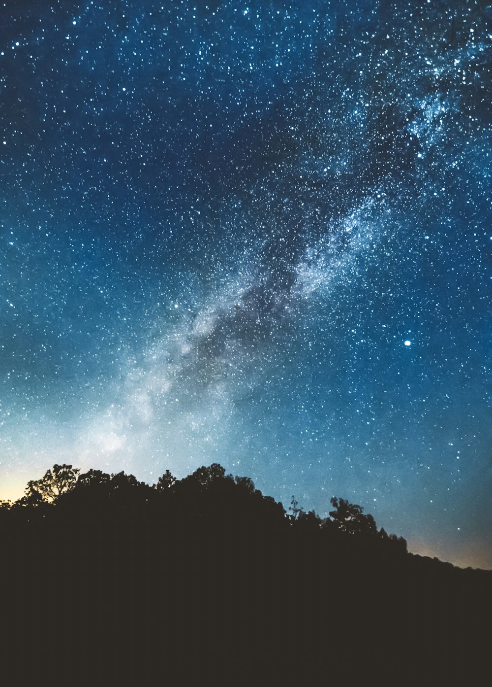 silhouette of trees during starry night