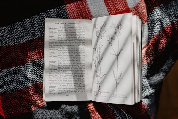 Open guidebook with pages turning