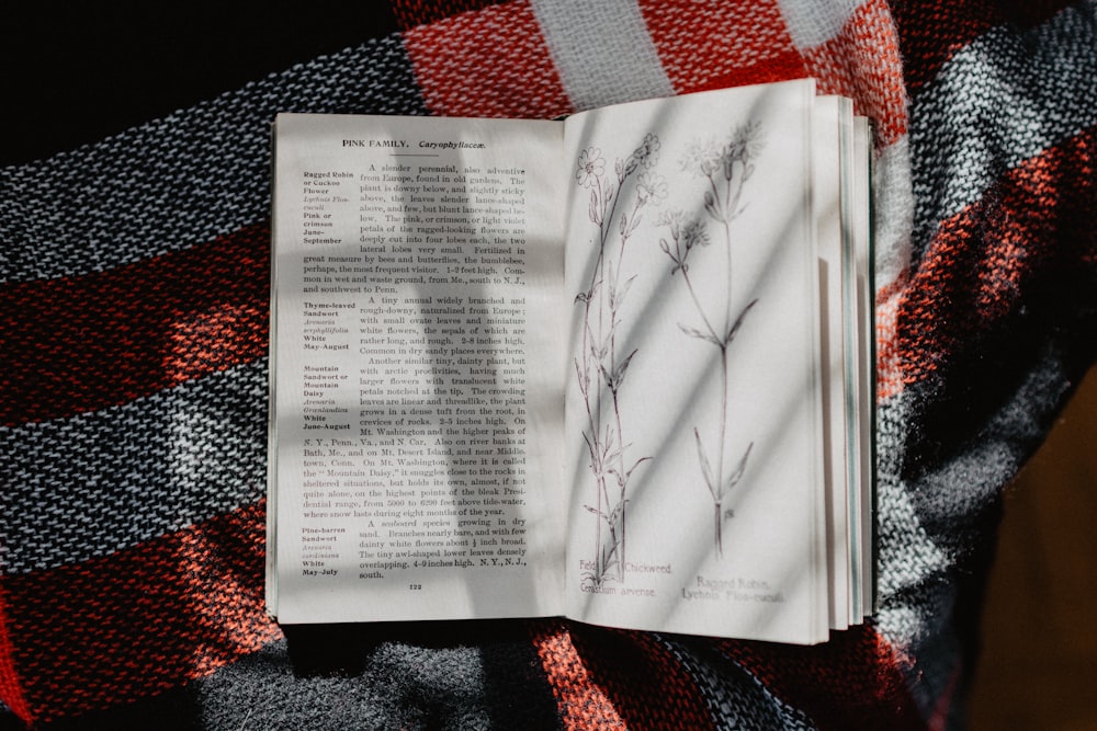 white and black labeled book on white, red, and black plaid textile