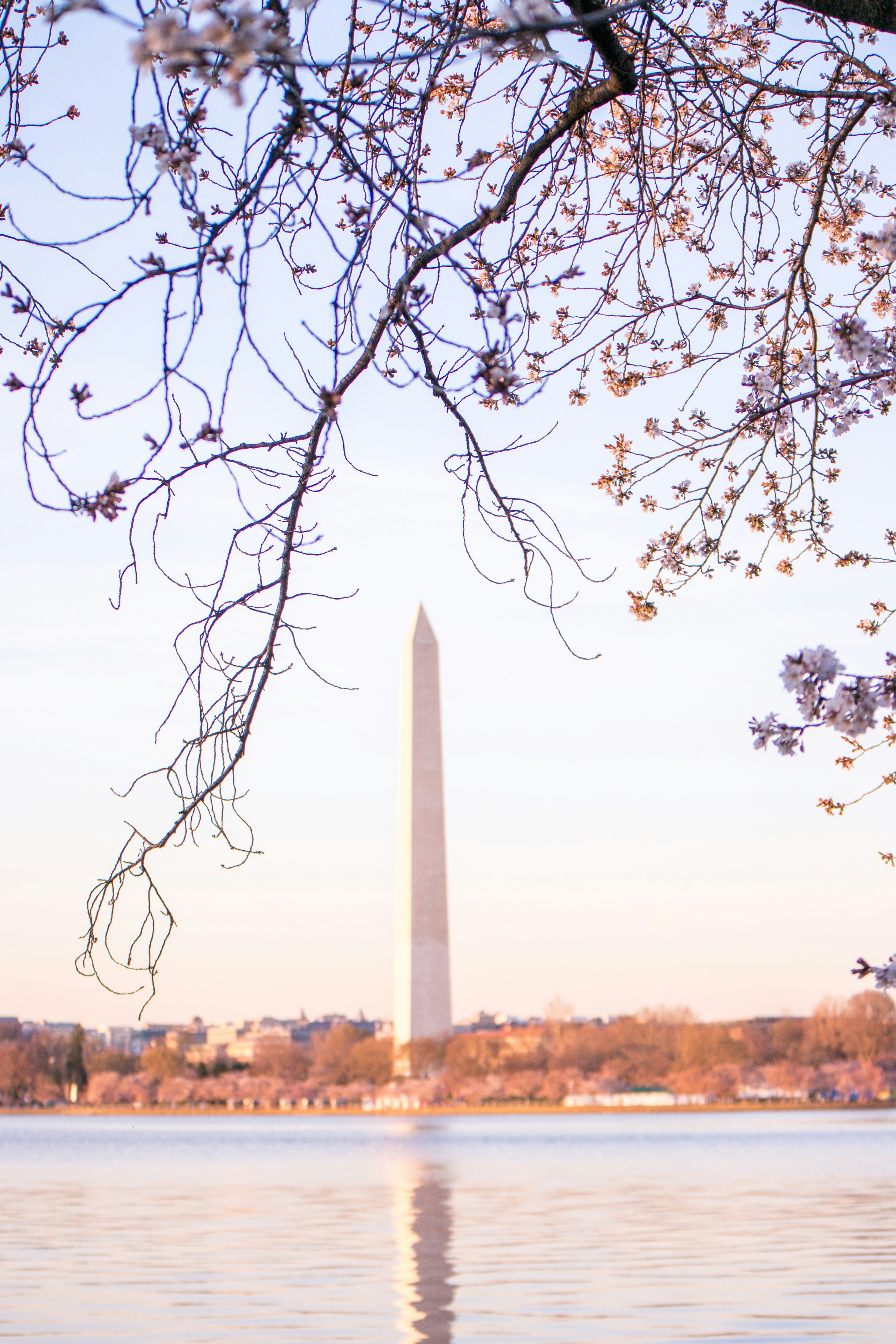 Photo by i_grantwishs