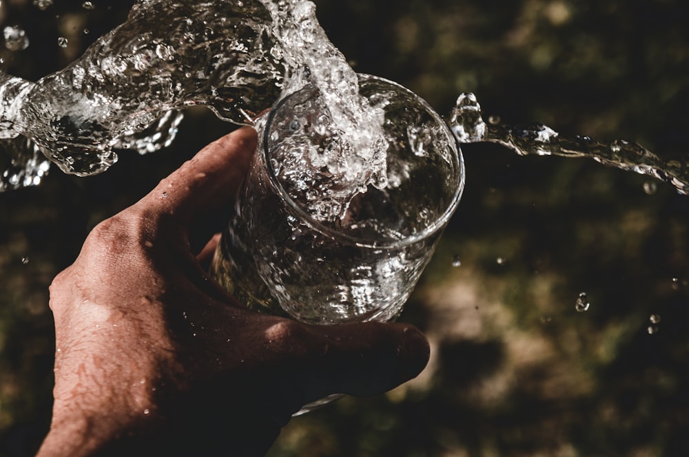 person holding drinking glass filled with water