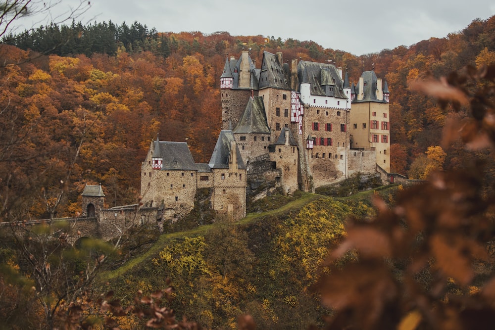 brown castle with grey roof on mountain during daytime