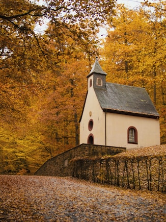 white and gray cathedral surround by trees