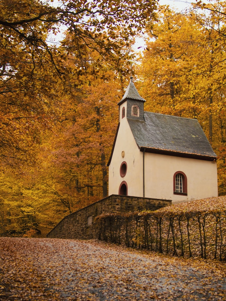 Autumn forest walk , Rheinland-Pfalz, Germany