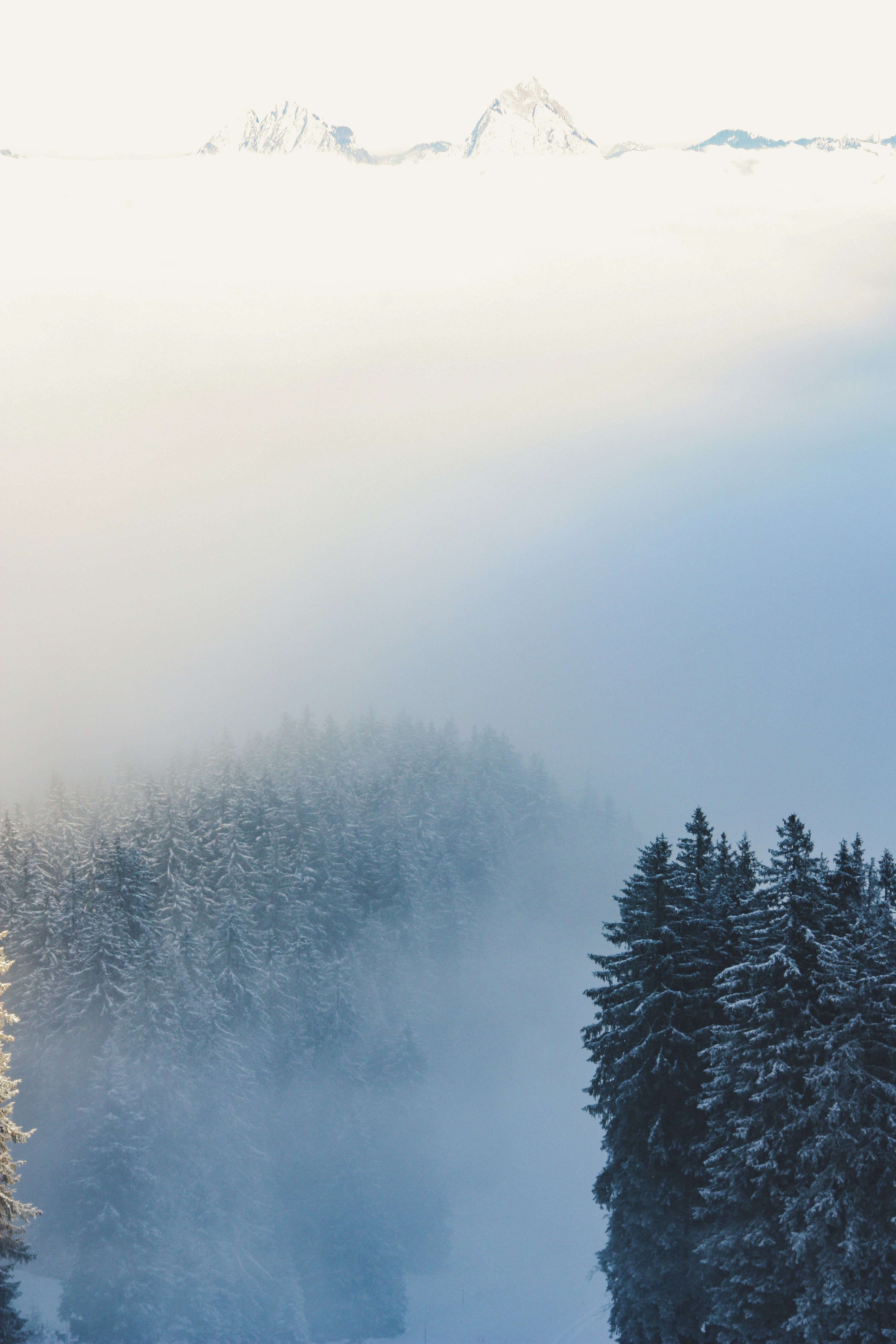 Photo by theverticalstory