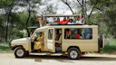 people riding beige SUV near green leafed trees during daytime