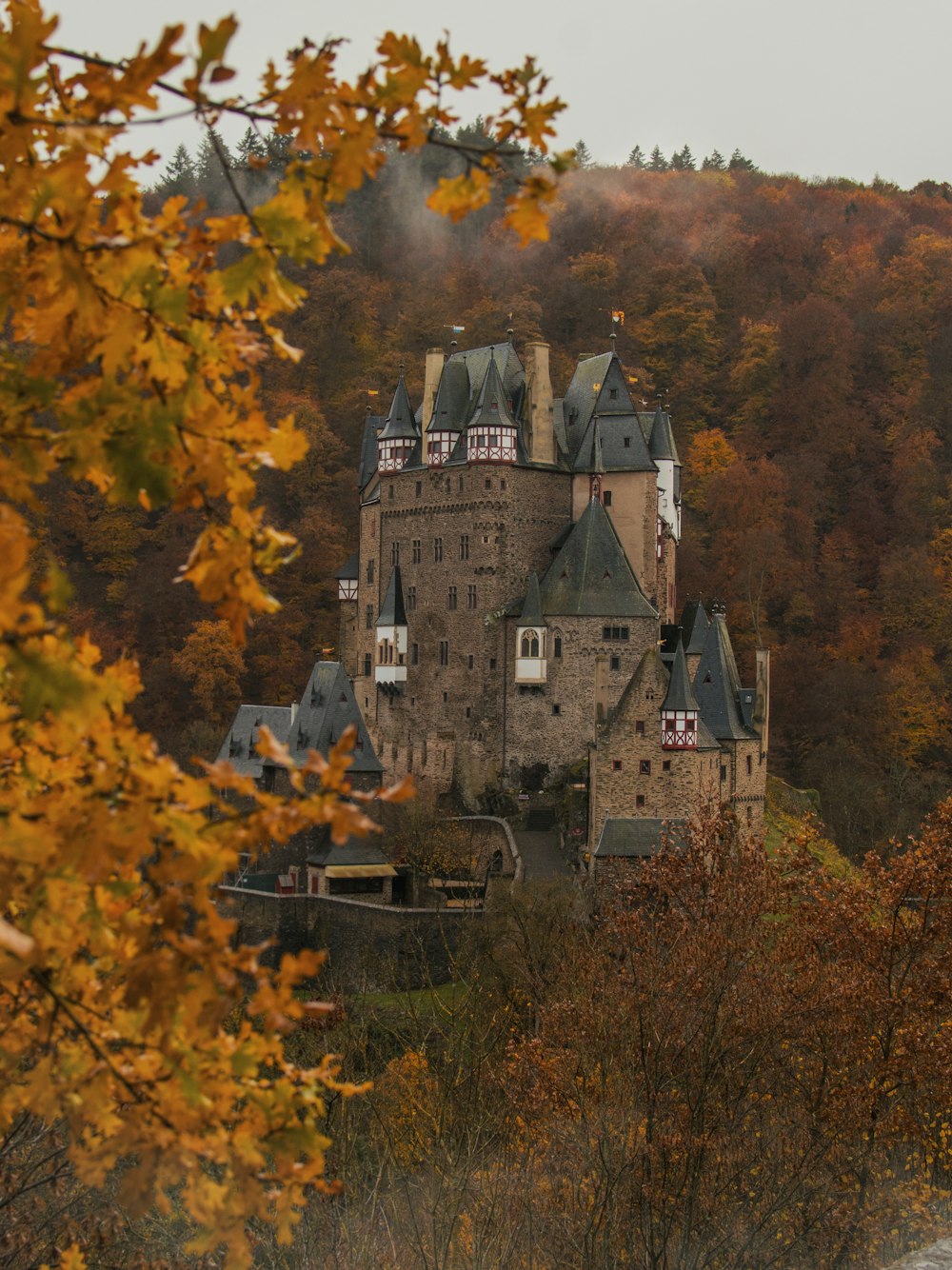 Braunes Betonschloss von Bäumen umgeben