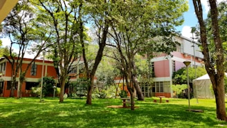 A serene community space with greenery.