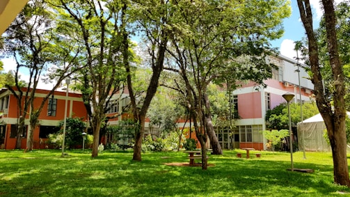 A serene community space with greenery.