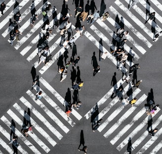 aerial view of people walking on cross pedestrian lane