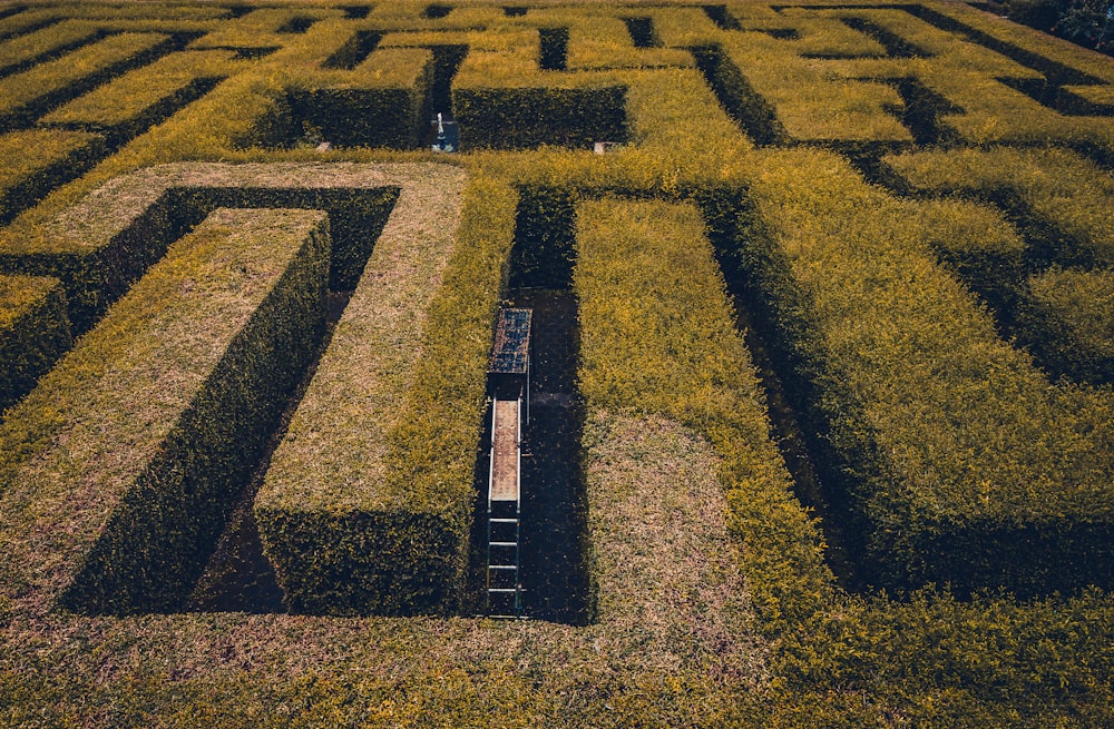 aerial photo of maze race