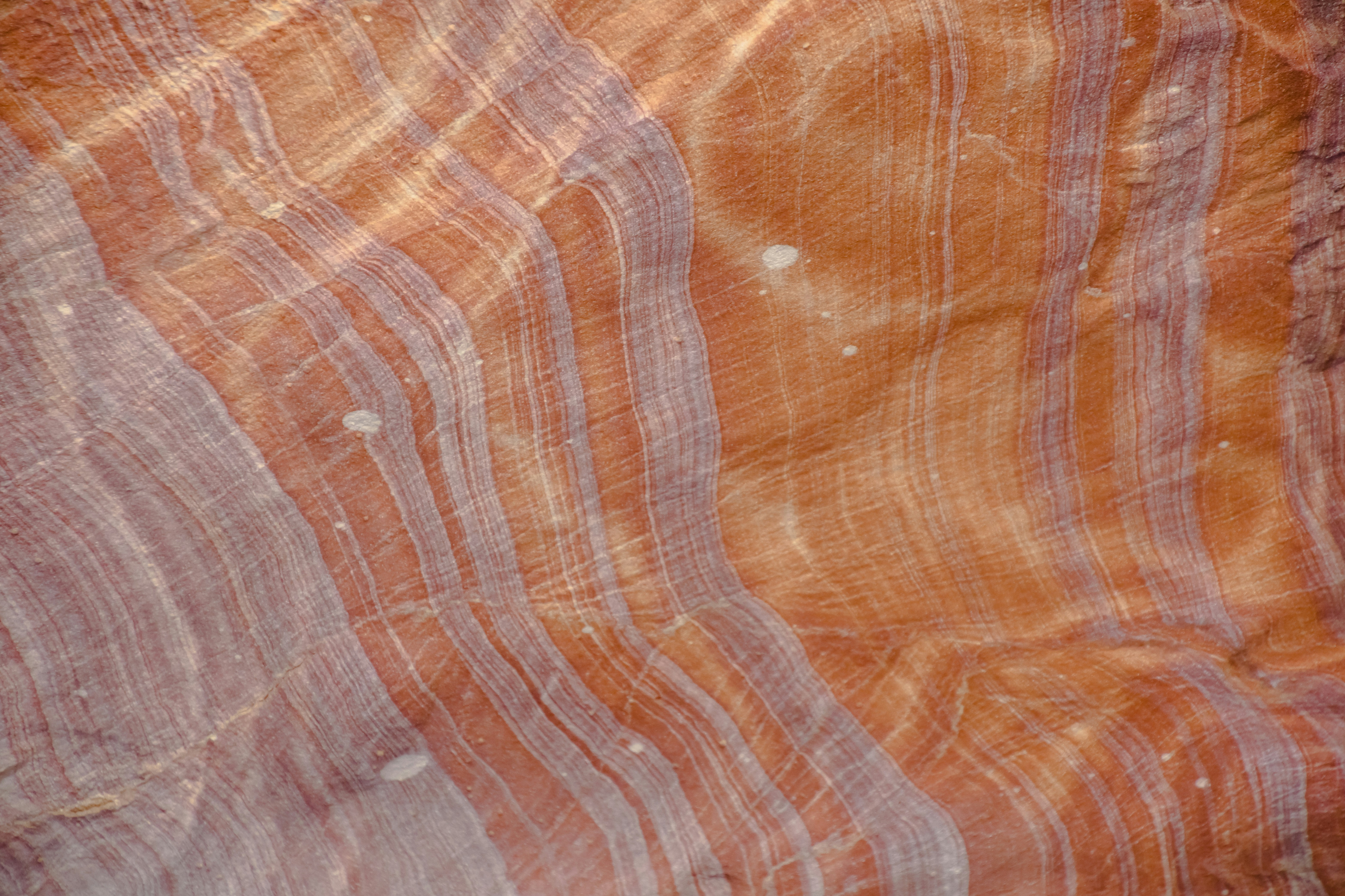 orange and beige textile