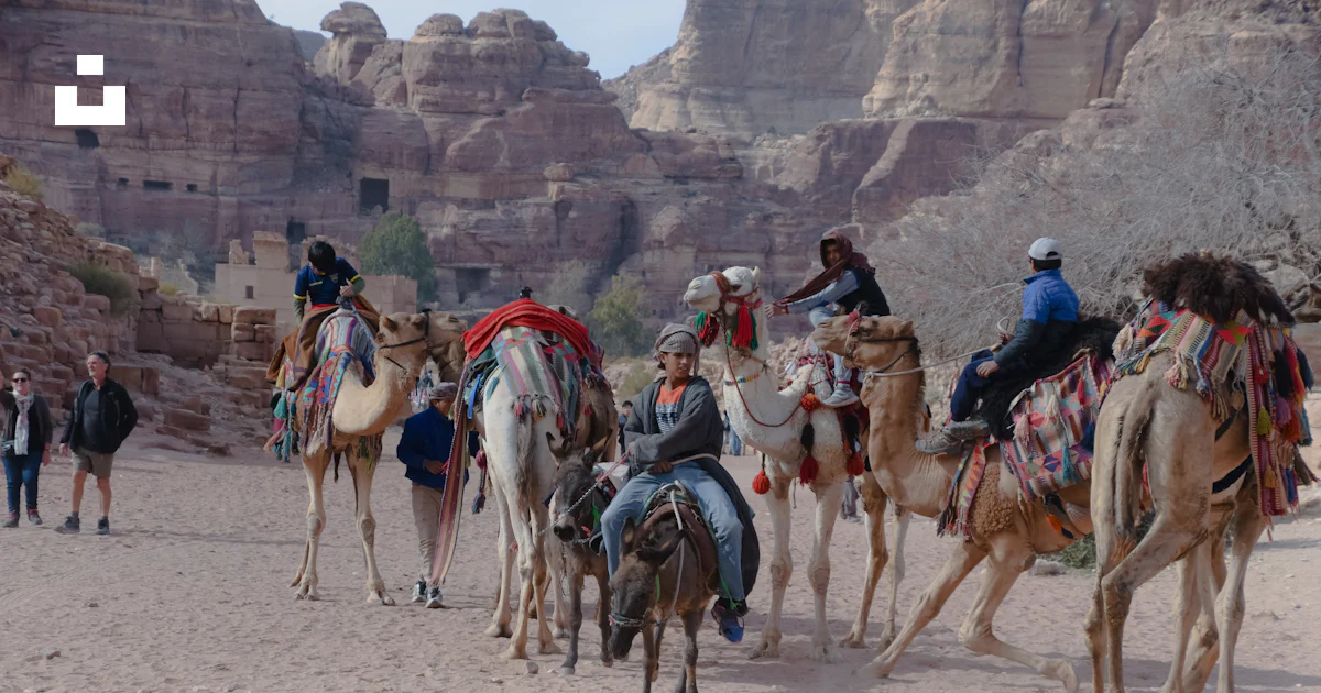 Someone Riding Camel Person riding camel during daytime photo – Free Camels Image on Unsplash