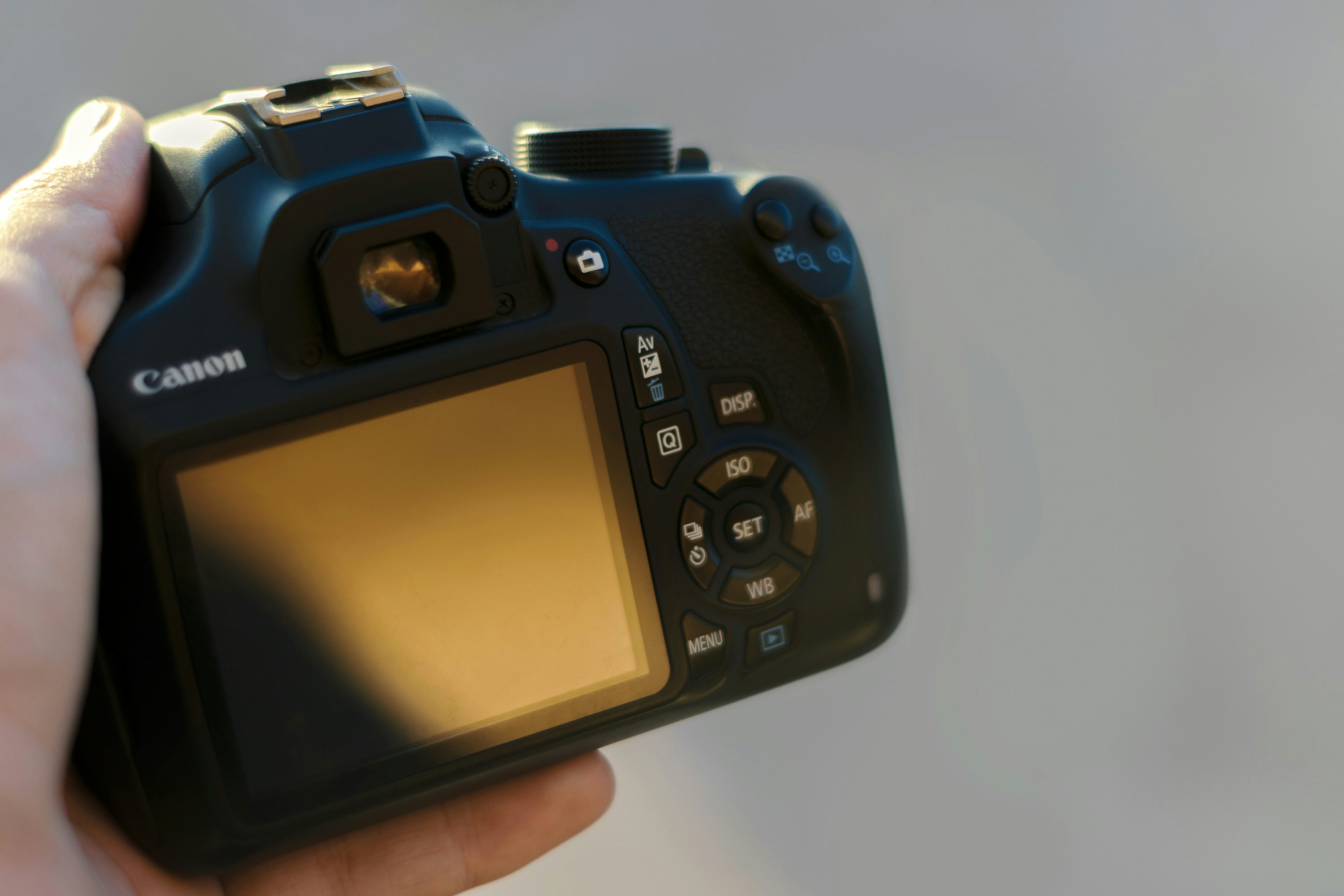 Close-up photograph of a Canon DSLR being held, showcasing the rear LCD and control wheel with a blurred background. The image emphasizes the camera body design rather than the scene.