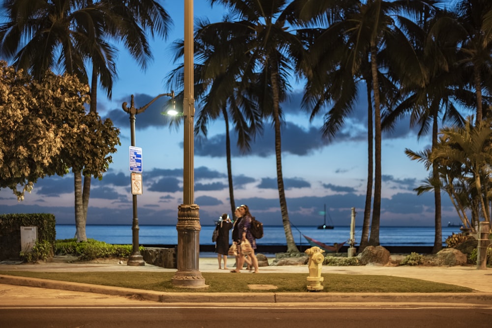 people walking in street under coconut trees