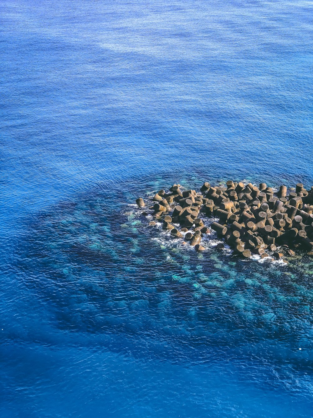 aerial photography of coral on body of water