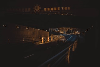 A dimly lit urban underpass or tunnel, with a road curving to the right. There are construction barriers with reflective stripes on the sides of the road, and streetlights illuminate parts of the scene. The surrounding area includes foliage and a road sign visible in the distance.