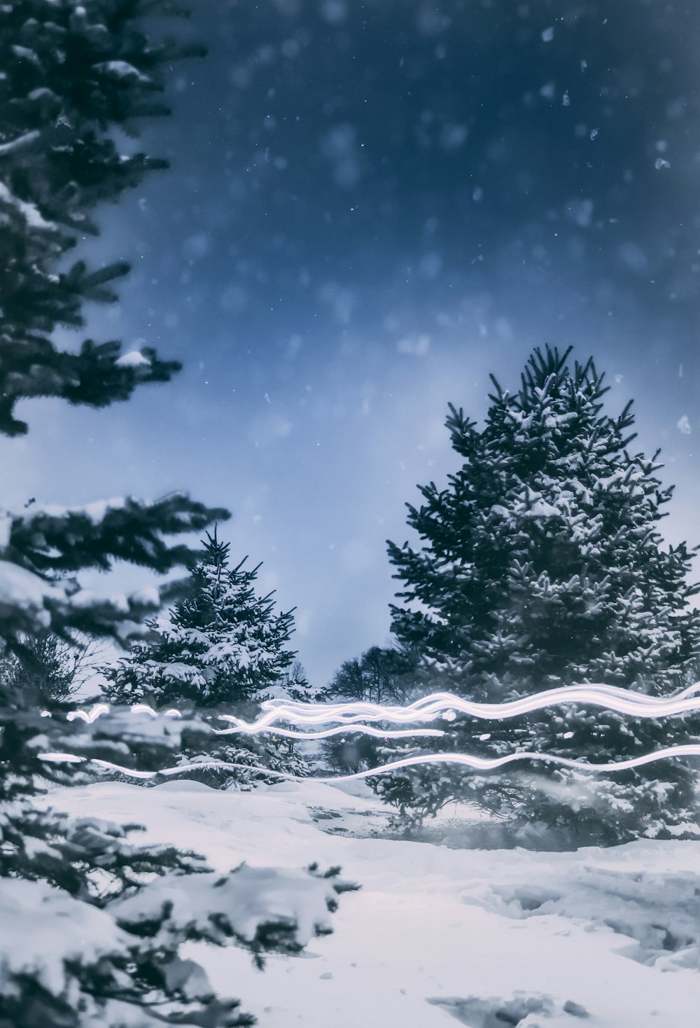 snow covered trees during daytime