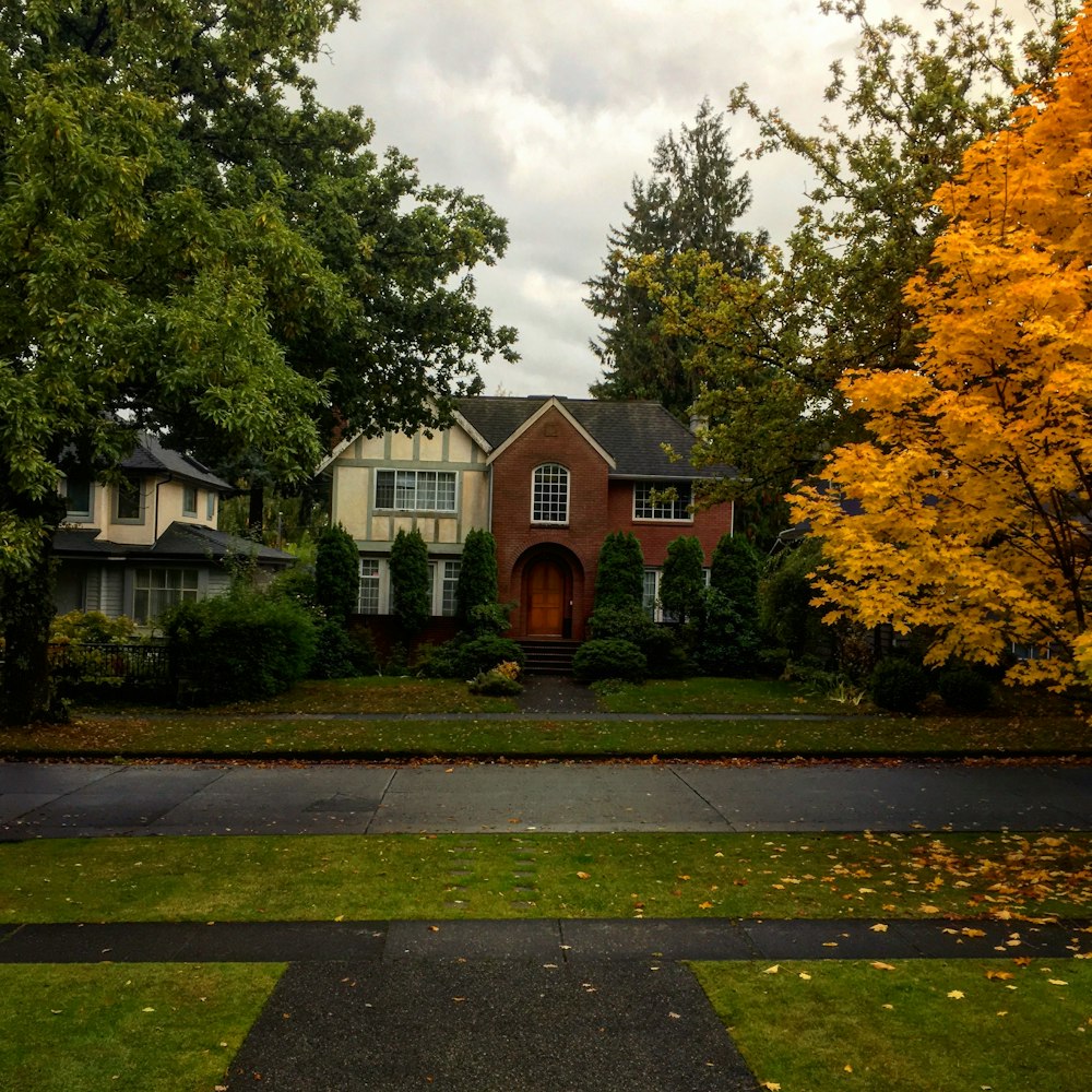 brown and white wooden house surrounded with trees