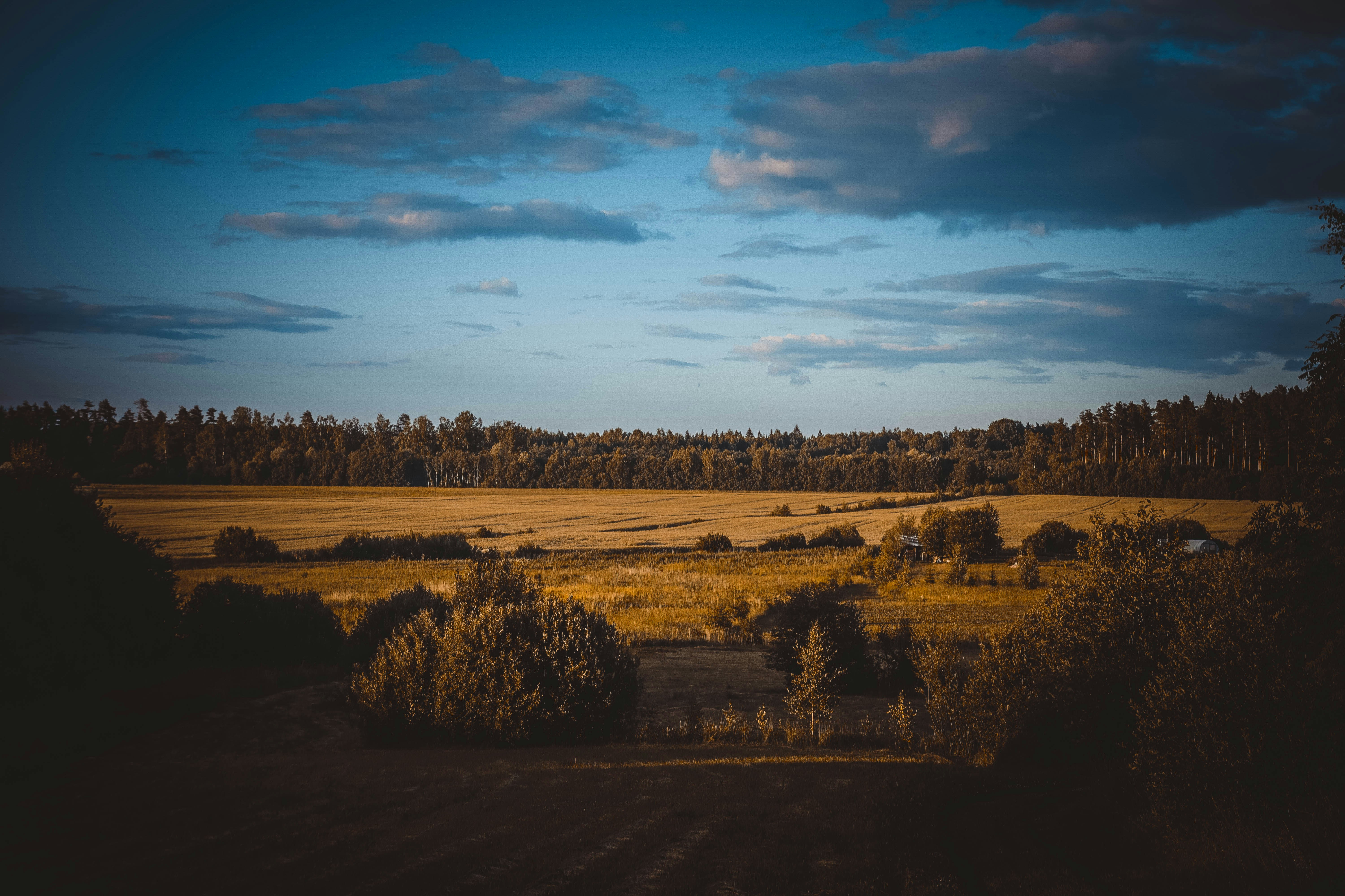 Photo by nikolabriede