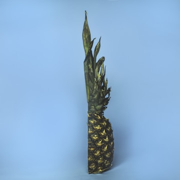 A pineapple is shown standing upright against a smooth, light blue background. The pineapple is sliced in half vertically, revealing the textured outer rind and the leafy crown while the inner fruit is not visible.