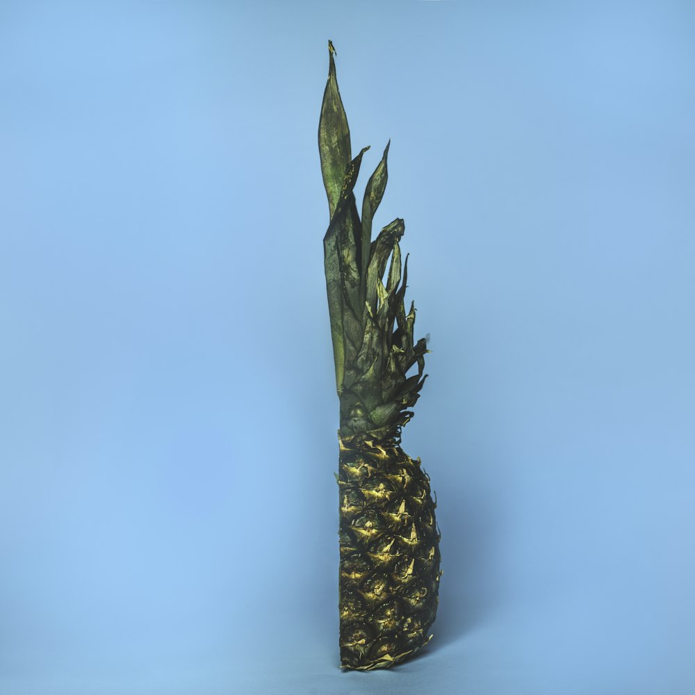 green pineapple