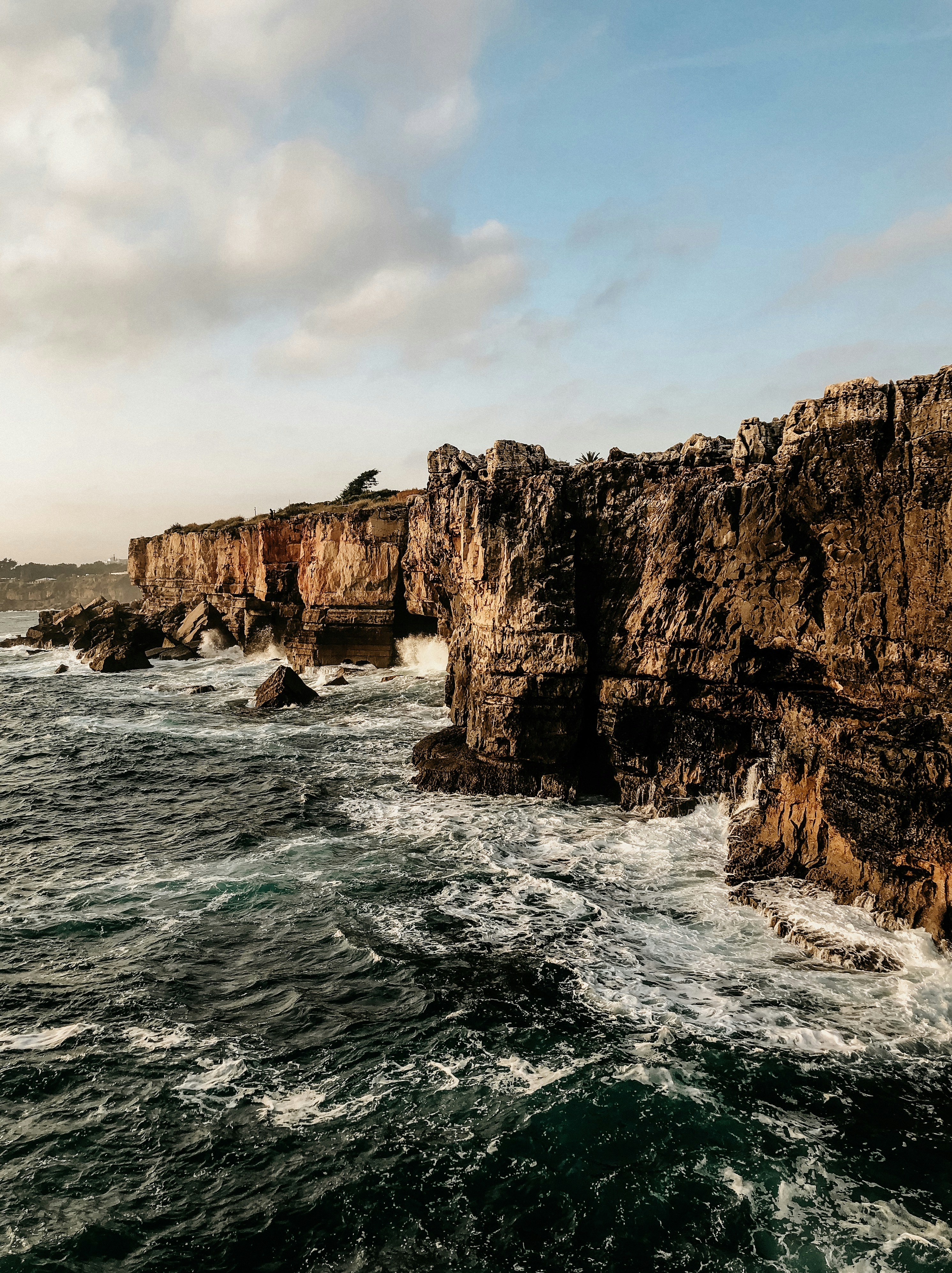 Photo by allison_oliveira