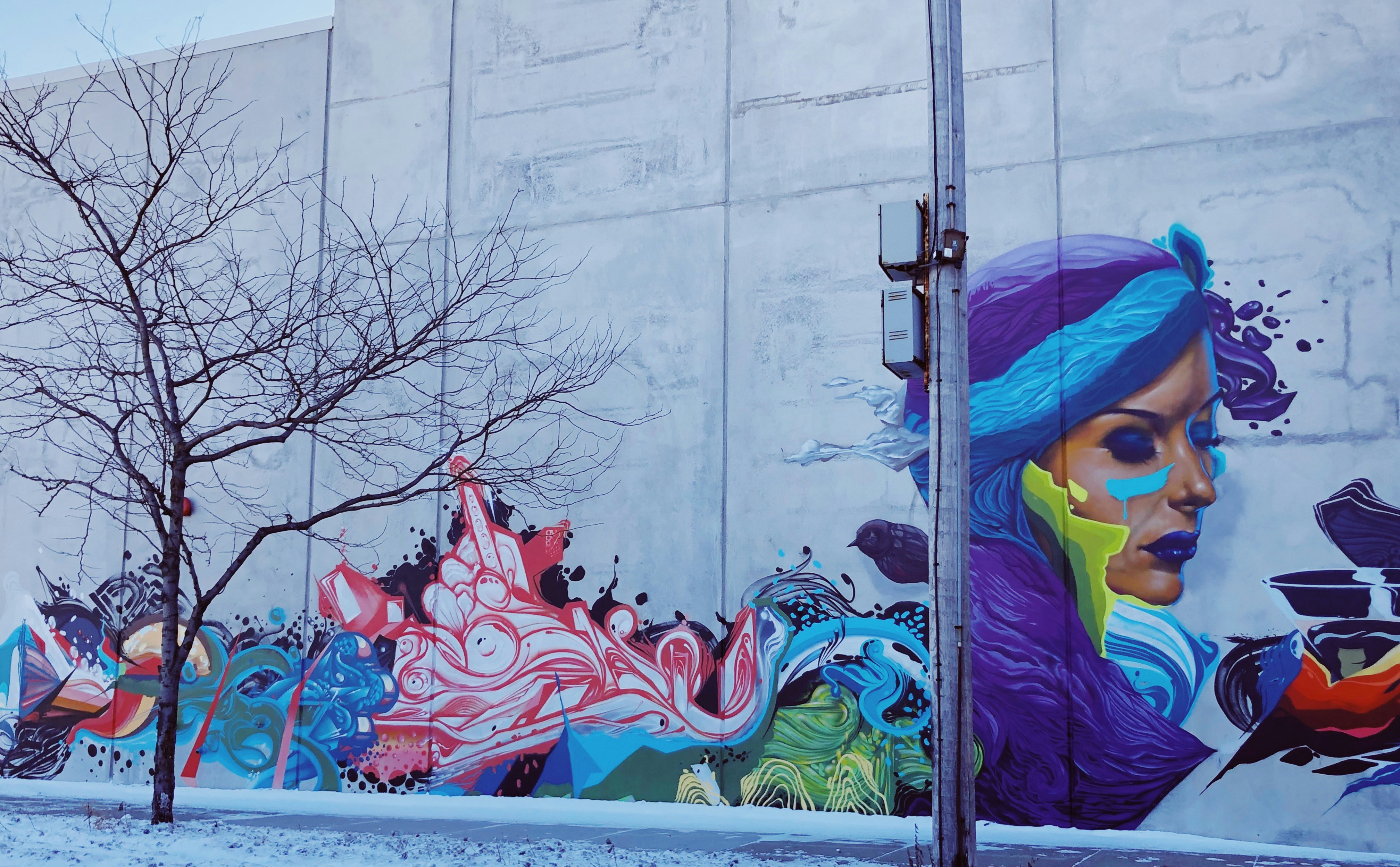 photo-1548809160-0a6929df56da?ixlib=rb-1.2.1&ixid=eyJhcHBfaWQiOjEyMDd9&auto=format&fit=crop&w=1616&q=80