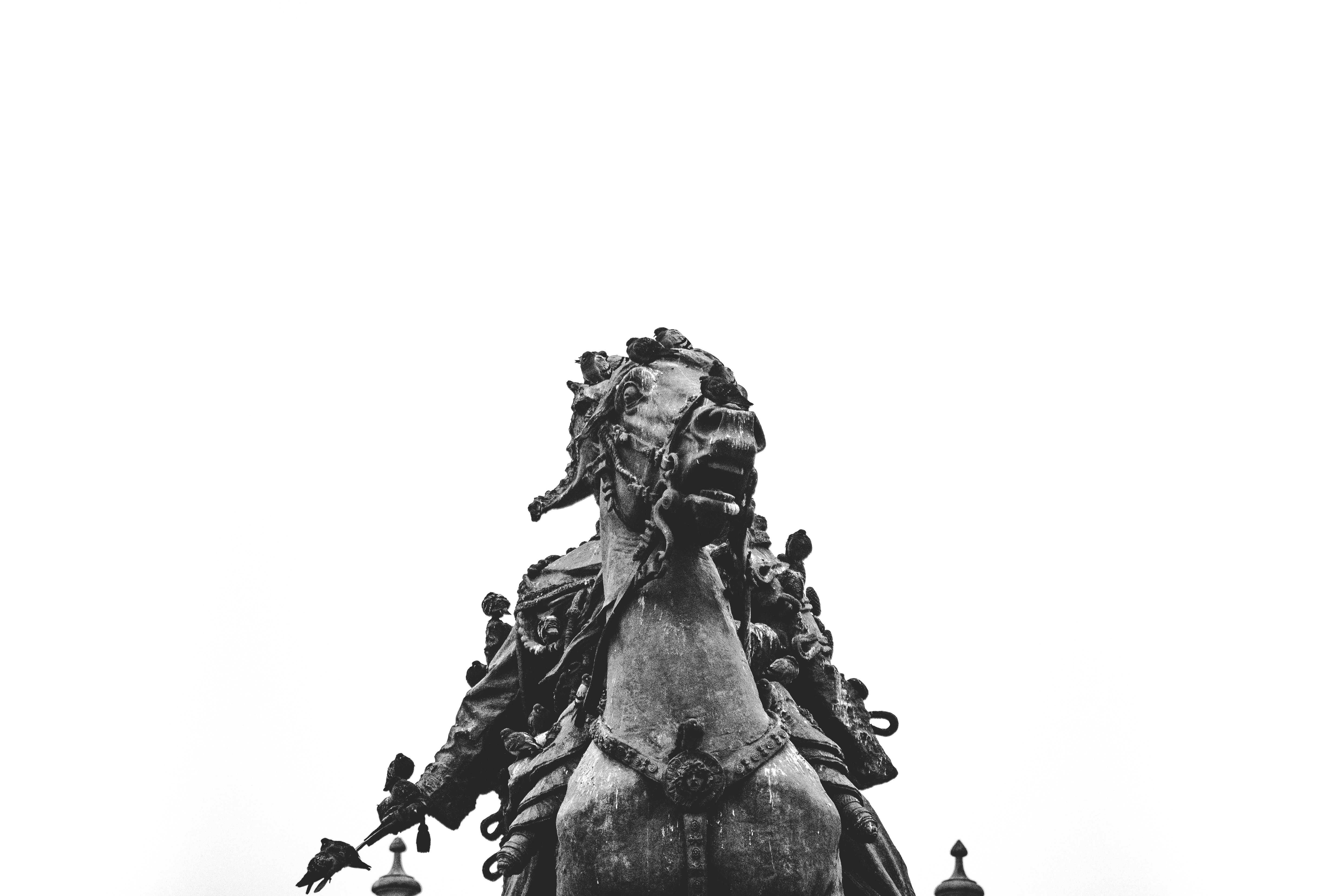 grayscale photo of horse statue